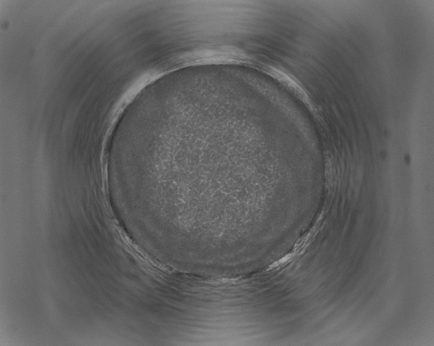 X0000067921419200605041657