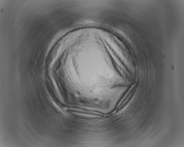 X0000067921421200605041657