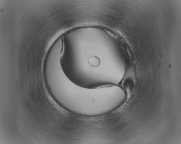 X0000067921422200605041657