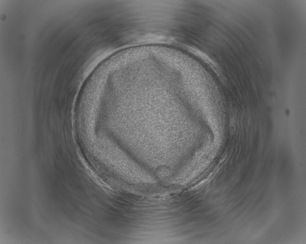 X0000067921423200605041657