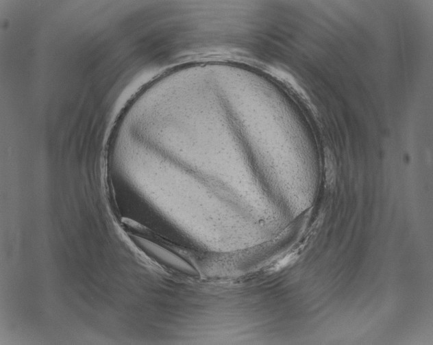 X0000067921424200605041657