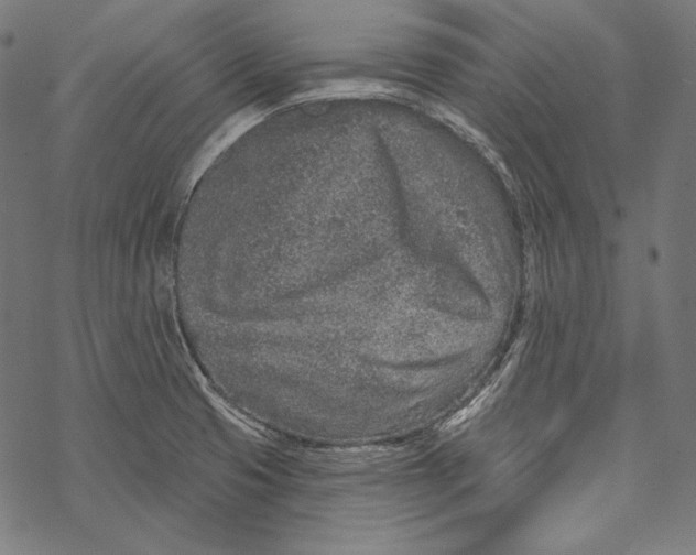 X0000067921425200605041657
