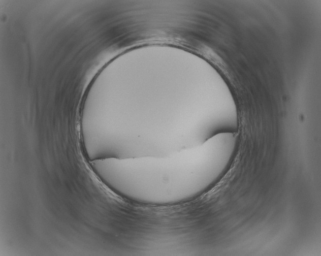 X0000067921428200605041657