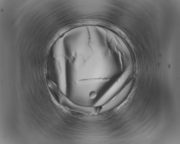 X0000067921433200605041658