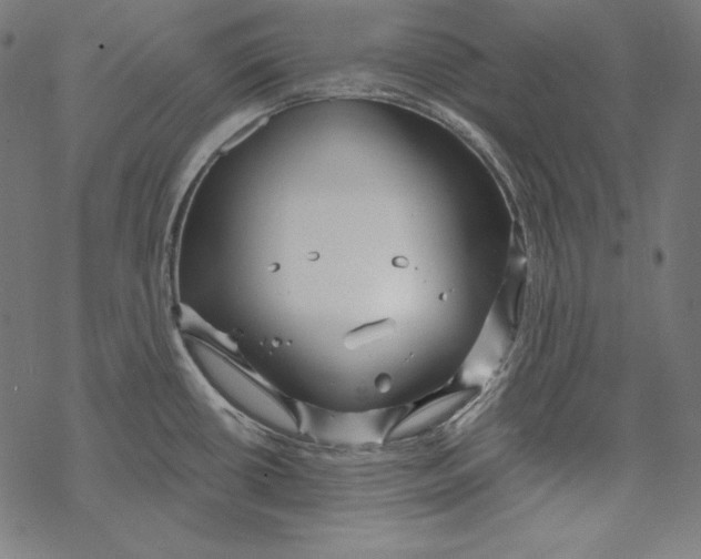 X0000067921434200605041658