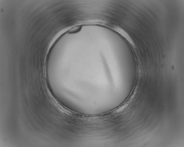 X0000067921436200605041658