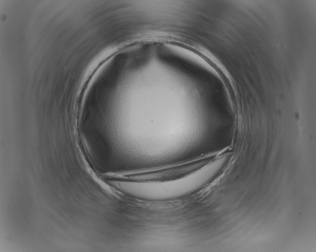 X0000067921437200605041658
