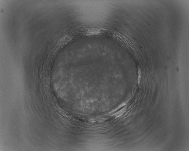 X0000067921441200605041657