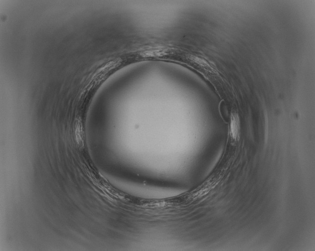 X0000067921444200605041657
