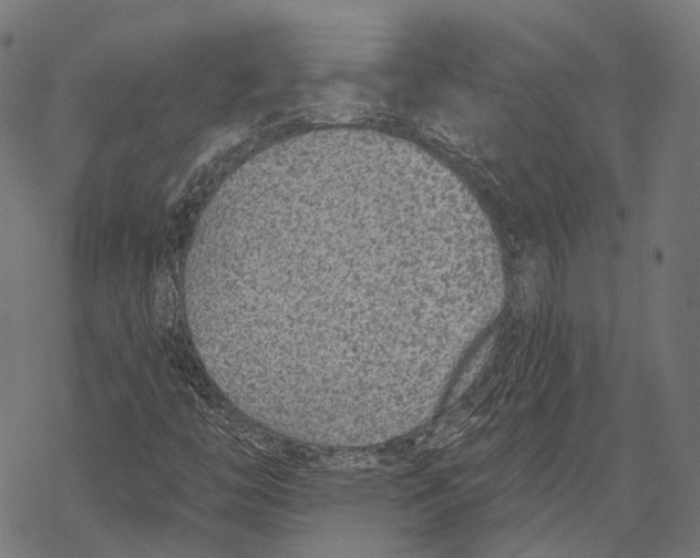 X0000067921446200605041657