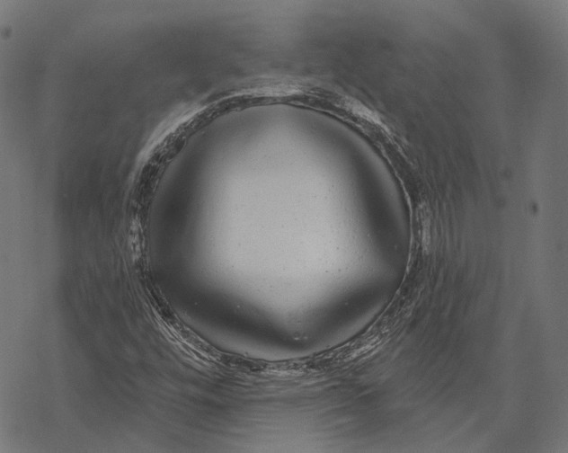 X0000067921448200605041657