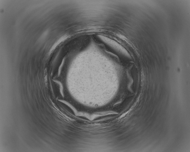 X0000067921450200605041657