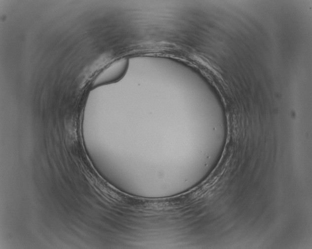 X0000067921451200605041657