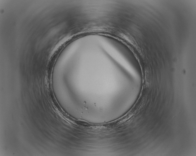 X0000067921452200605041657