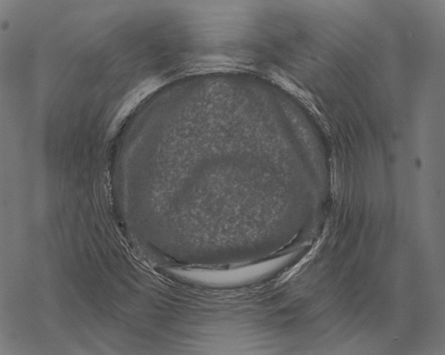 X0000067921453200605041657