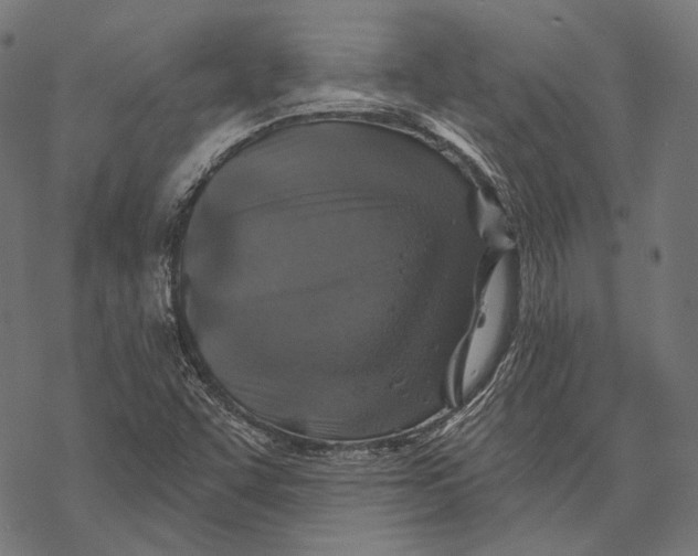 X0000067921455200605041657
