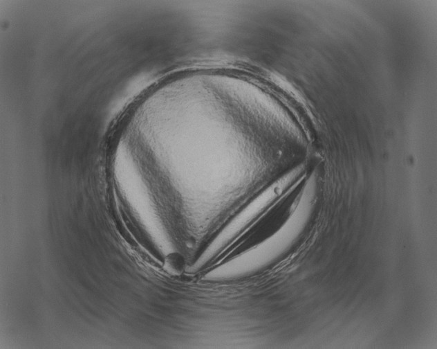 X0000067921456200605041657