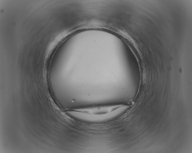 X0000067921464200605041656
