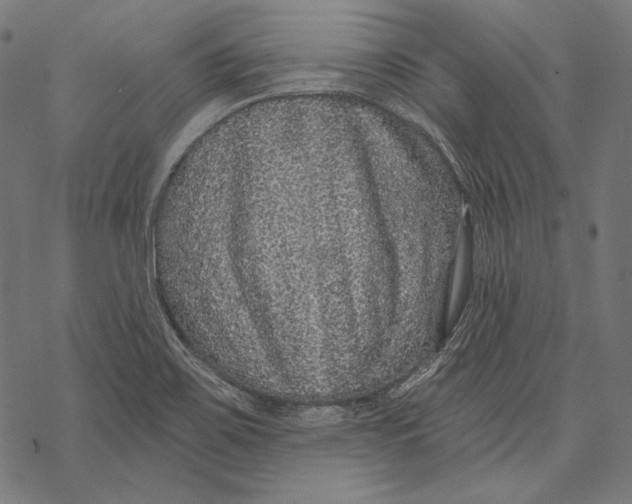 X0000067921467200605041656
