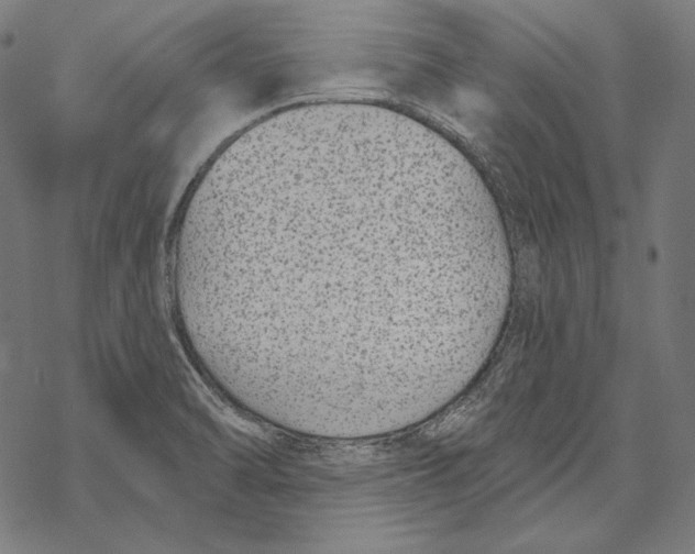 X0000067921470200605041656
