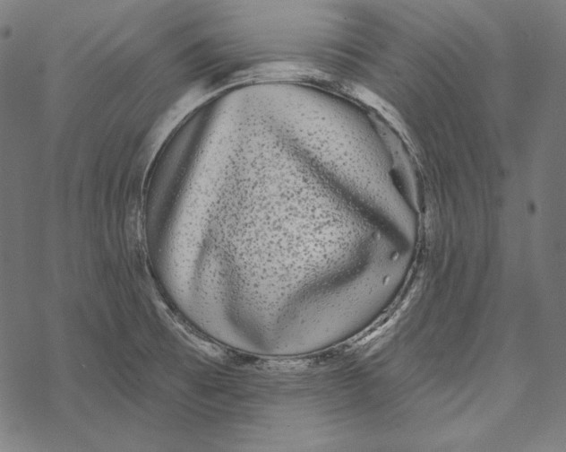 X0000067921473200605041656
