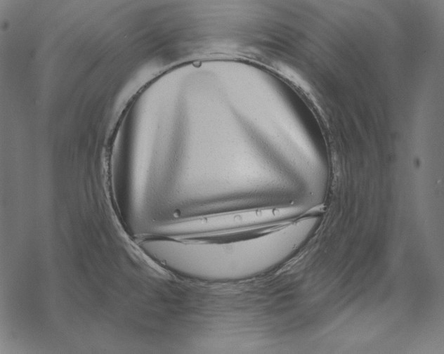 X0000067921480200605041656