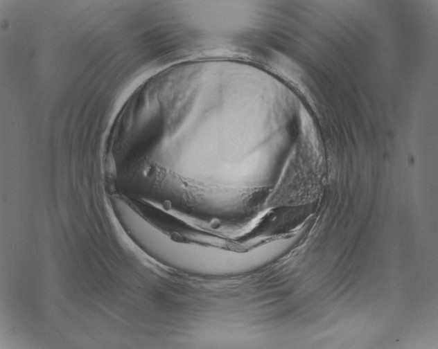 X0000067921483200605041656