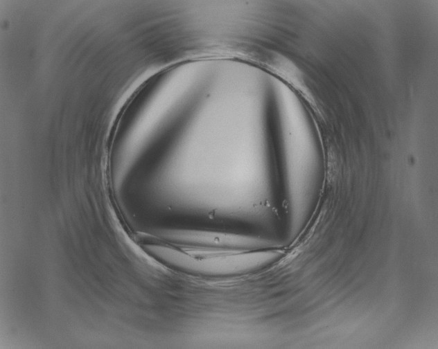 X0000067921484200605041656