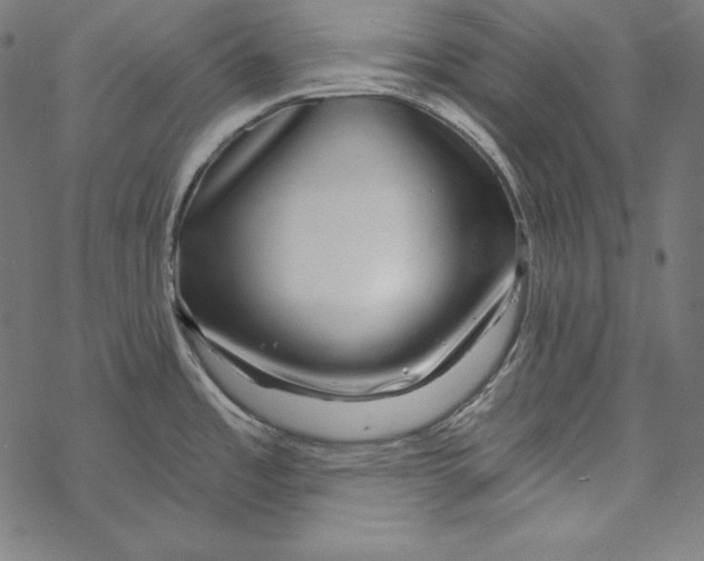 X0000067921485200605041656