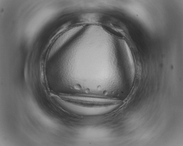 X0000067921487200605041656