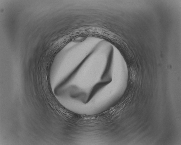 X0000067921489200605041655
