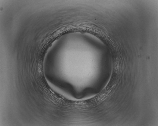 X0000067921490200605041655