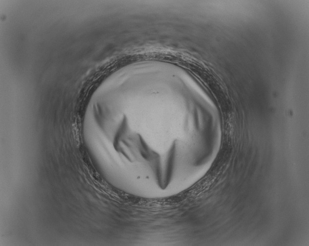 X0000067921493200605041655