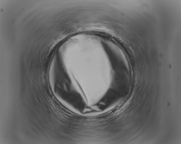 X0000067921497200605041655