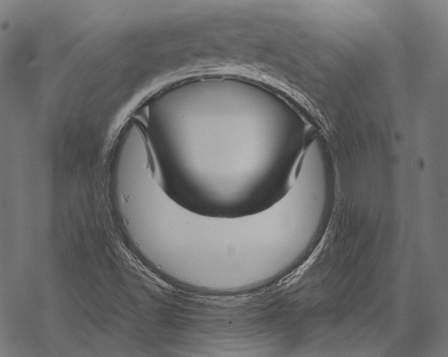 X0000067921502200605041655