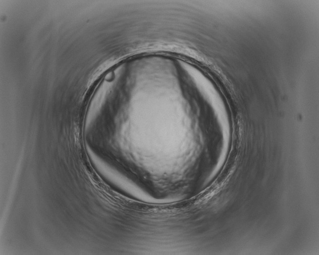 X0000067921505200605041655