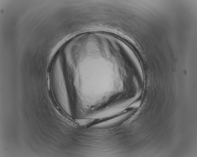 X0000067921509200605041656