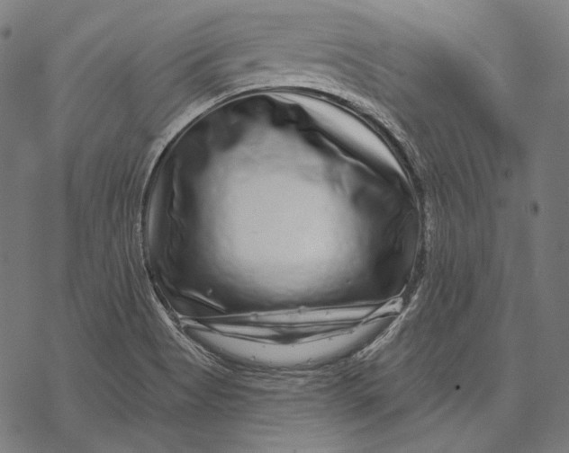 X0000067921513200605041656