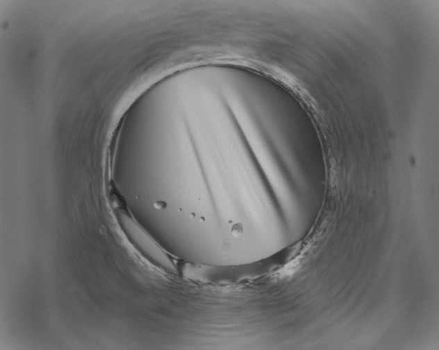 X0000067921520200605041656