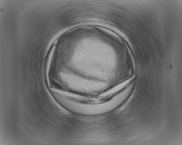 X0000067921533200605041656