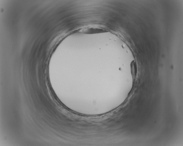 X0000067920001200605112020