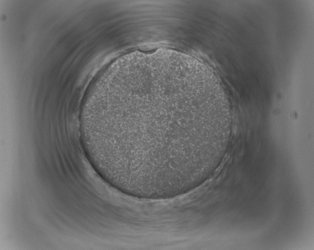 X0000067920002200605112020