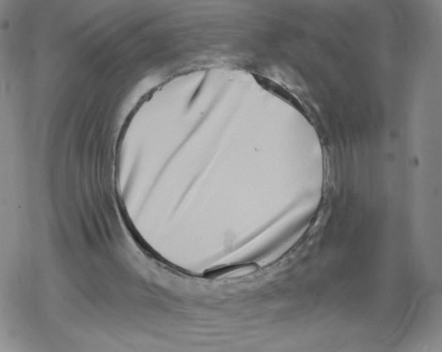 X0000067920003200605112020