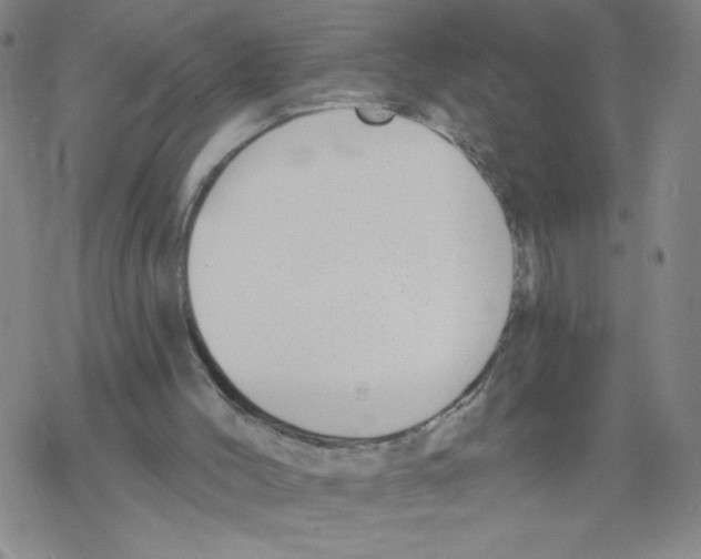 X0000067920004200605112020