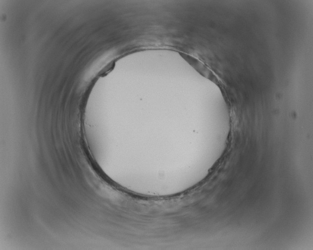 X0000067920005200605112020