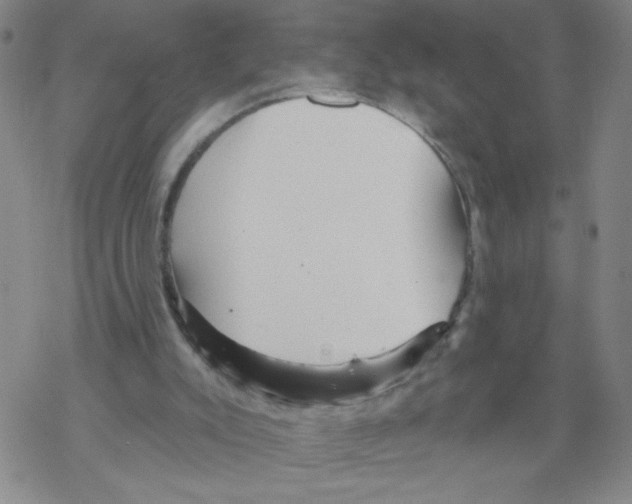 X0000067920007200605112020