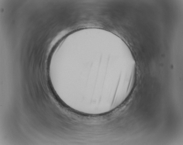 X0000067920008200605112020