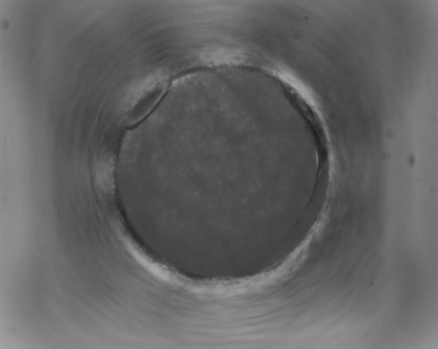 X0000067920009200605112020