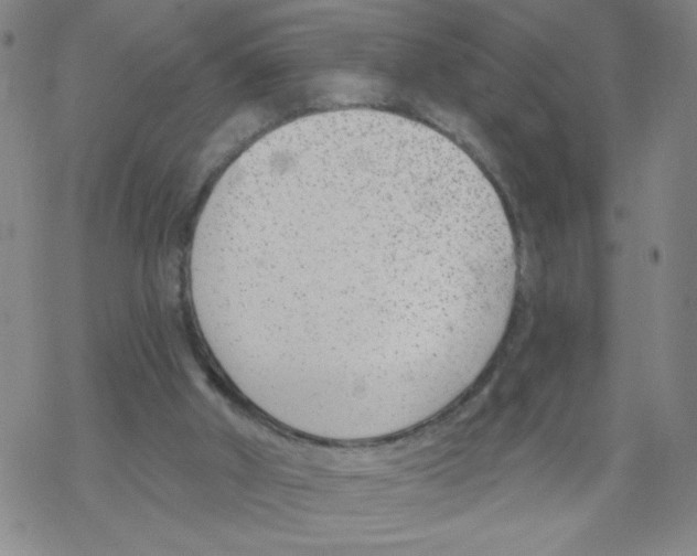 X0000067920010200605112020