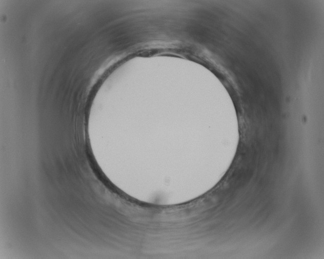 X0000067920011200605112020